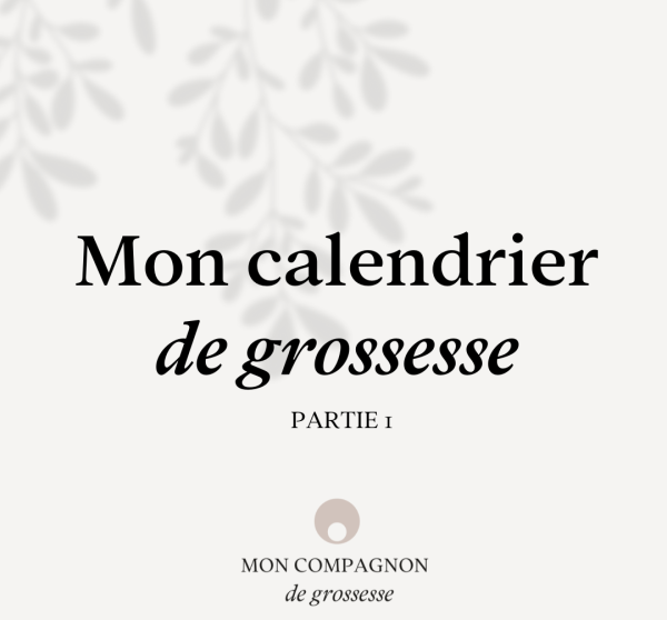 2.1 Calendrier de grossesse