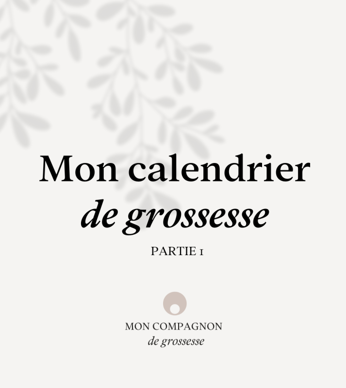 2.1 Calendrier de grossesse